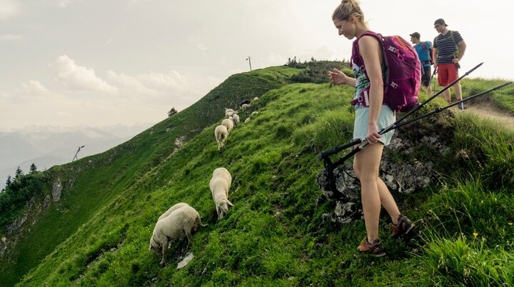 Wandern im Mittelgebirge | © Hans Herbig